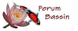 logo4