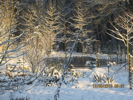 Bassin sous la neige (2)