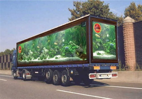  0.CAMION-AQUARIUM