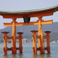 ;0 torii_1.jpg