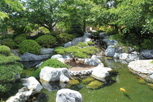 Japanese Garden   Koi Pond by Ryuaku (1)