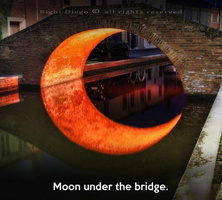 ; funny-moon-river-perspective-reflection