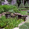 04 beautiful-small-fish-pond-nj.jpg