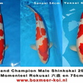 kohaku.