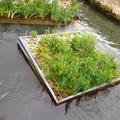 04 Jardin flottant sur la Seine