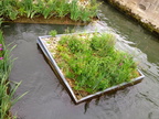 04 Jardin flottant sur la Seine