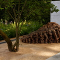 01 Laurent-Perrier-garden-designed-by-Luciano-Giubbilei-detail...jpg