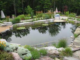 16 fresh-and-natural-stunning-swimming-pool-with-replicates-a-pond-in-the-forest-design-ideas