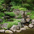 japanese-pond-waterfall