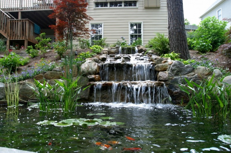 Koi-pond-and-nice-waterfall-e1381885222908.jpg