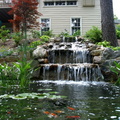 Koi-pond-and-nice-waterfall-e1381885222908