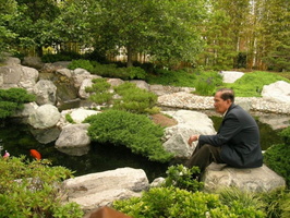 koi-pond-waterfall-picture-21