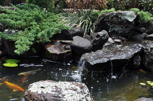 landscaping-large-natural-stone-waterfall-with-stacked-black-mountain-pebles-also-water-drip-impressive-pond-designs-collection-good-feng-shui-with-koi-and