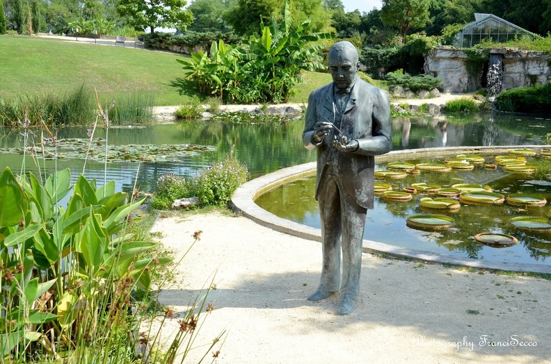La statue de Latour-Marliac, câ€™Ã©tait ici le long des rives du ruisseau que Latour-Marliac tentait ses premiers croisements..jpg