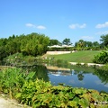 Le lac de Latour-Marliac..