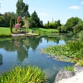 Le lac de Latour-Marliac