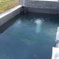 20170204 175507