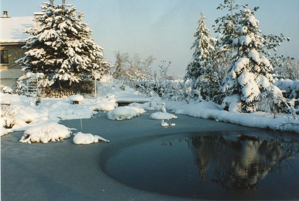 Préparer son bassin pour l'hiver — Encyclopedie du Bassin
