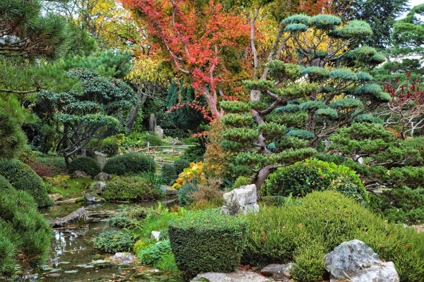 Bassin d'agrément et jardin japonais – Verte Plénitude Paysagiste