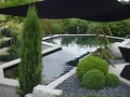 DSC01336-Bassin.jpg