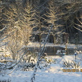 Bassin sous la neige (2)