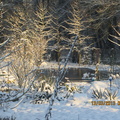 Bassin sous la neige (2)