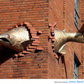  0.Funny-fish-in-the-wall