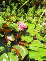 DSC00001