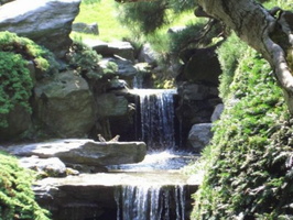 2-cascades-jardin-jardin-japonais-Brooklyn-jardin-botaniques xm
