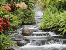 landscaping-small-garden-waterfall-with-moss-in-spring-design-ideas-beautiful-and-relaxing-garden-waterfalls-photos