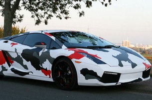 ; 0.Koi-painting-Lamborghini-Gallardo-by-Cam-Shaft-1