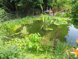 Bassin de Yannick le 30 07 2014