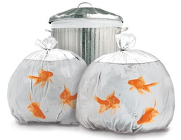 ; 0.sac-poubelle-poisson-rouge