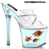;Aquarium-shoe-Chaussures-Aquarium-Aquarium-Schuh