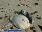 ;0.lustiges bild riesiger fisch