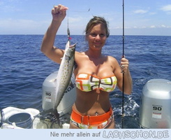  0.80287 fetter fisch