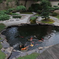 ; japanese Fish-Pond-3.jpg