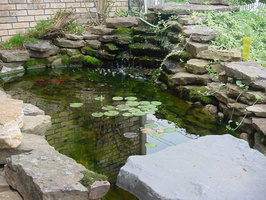 backyard-fish-pond-pictures-2-Amusing-Cool-Backyard-Ideas-Amusing-backyard-crashers-Post-Modern-Style-1280x960