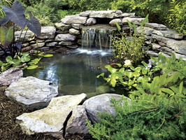 Ponds-Planting-Water-Features-In-Edinburgh-With-Stone-And-Plants-Garden-Design-Ideas-With-Ponds