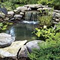 Ponds-Planting-Water-Features-In-Edinburgh-With-Stone-And-Plants-Garden-Design-Ideas-With-Ponds
