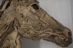 03 Head-of-A-Rearing-Stallion-driftwood-sculpture-by-James-Doran-webb