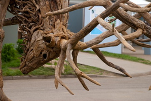 05 Rutting-stags-by-James-Doran-Webb-at-Chelsea-Flower-Show-2012