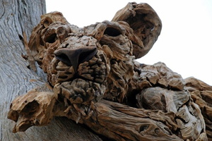 11 Lion-in-tree-at-Chelsea-2013-James-Doran-Webb