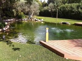 01 18522 Bassin2 (2)