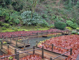 03 garden-design-2173625019-a540b9fb61-z