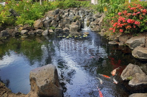06 swimming-pool-waterfall