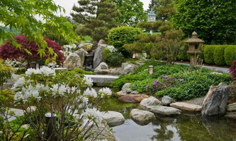 11-zen