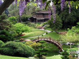 beautiful-japanese-gardens-on-garden-with-plans