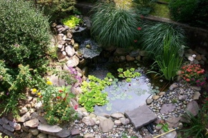 07 -backyard-ponds-design-fresh-decoration-on-backyard-designs