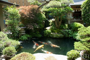 ; miyajima